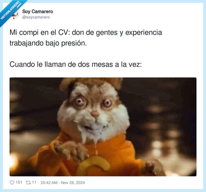 experiencia,trabajar,presión