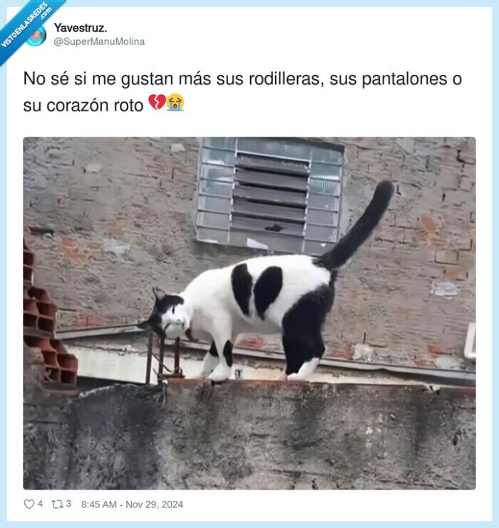 rodilleras,pantalones,corazón,gato