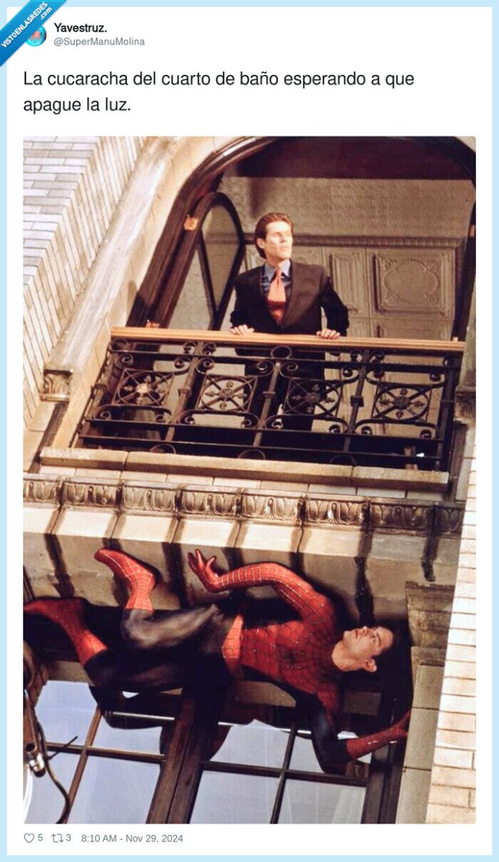 cucaracha,esperando,cuarto,baño