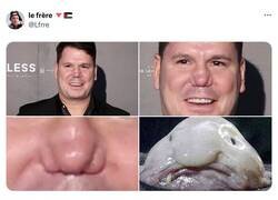 Enlace a Tal cual, por @Lfrre