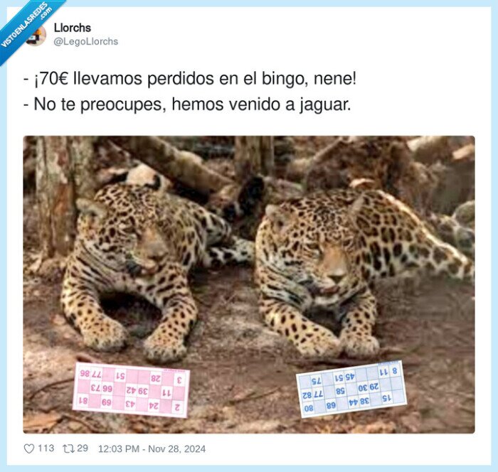 perdidos,bingo,dinero,jaguar