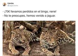 Enlace a Hemos venido a jaguar, por @LegoLlorchs