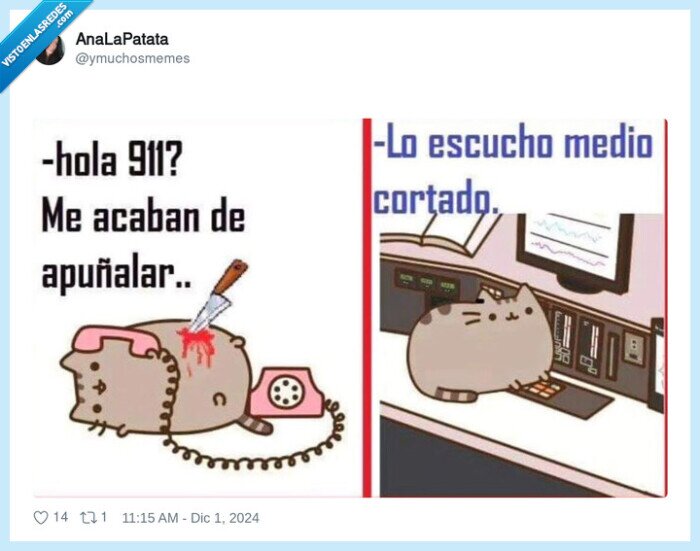 911,gato,cortado,cuchillo