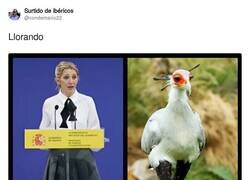 Enlace a Ha clavado el disfraz de Yolanda Díaz, por @condemario22