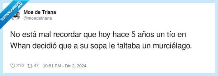 murciélago,recordar,covid,coronavirus,whan