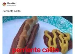 Enlace a Perriente calito, por @Memakker