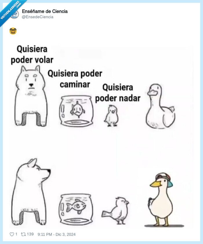 andar,nadar,volar,patos
