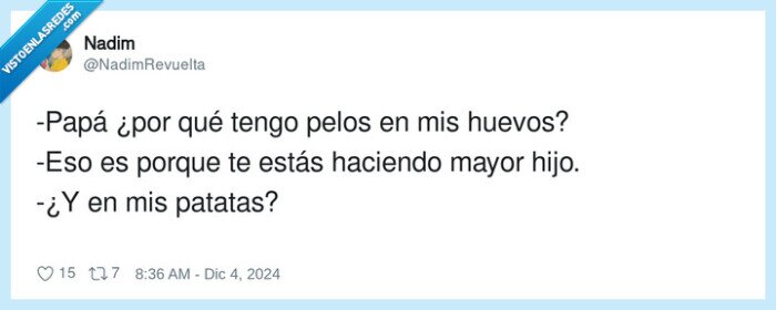 patatas,huevos,pelos,papá