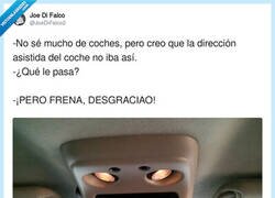 Enlace a Hazle caso al bicho, por @JoeDiFalco2