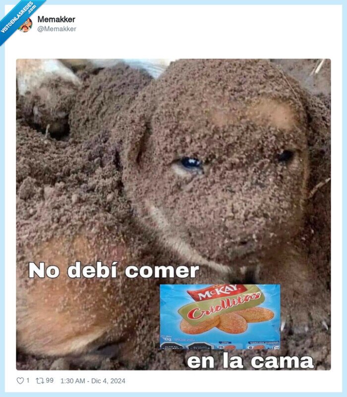 galletas,migas,cama