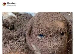 Enlace a Tu madre ya te avisó, por @Memakker