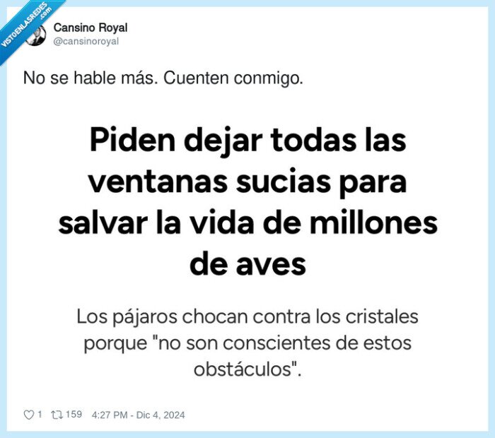 ventanas,sucias,aves