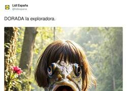 Enlace a Éste es uno de los mejores/peores hasta la fecha, por @lidlespana