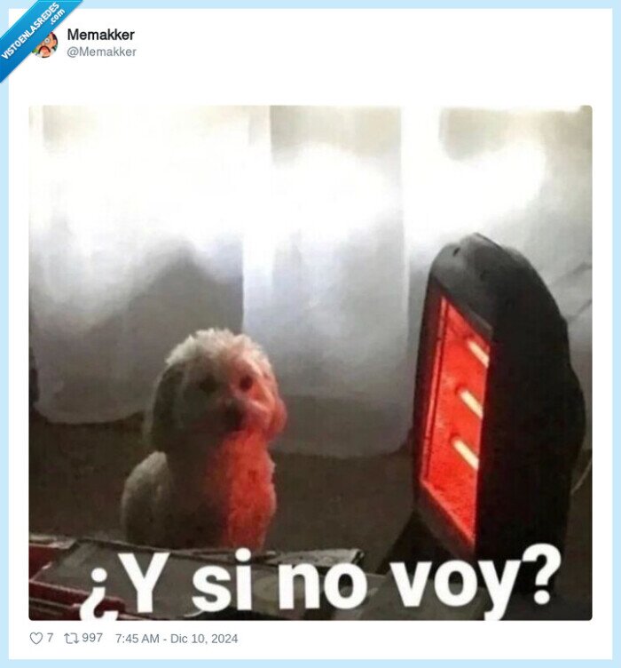 radiador,perro,casa