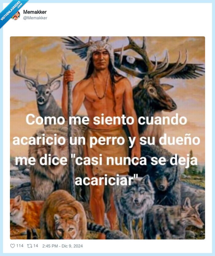 animales,perro,acariciar