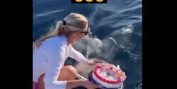 Enlace a Quita al tiburón como si nada porque le arruinaba la foto para instagram, con dos ovarios