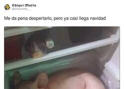 Enlace a Cochinillo, calienta que sales, por @chiquimafia__