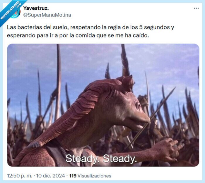 suelo,bacterias,regla