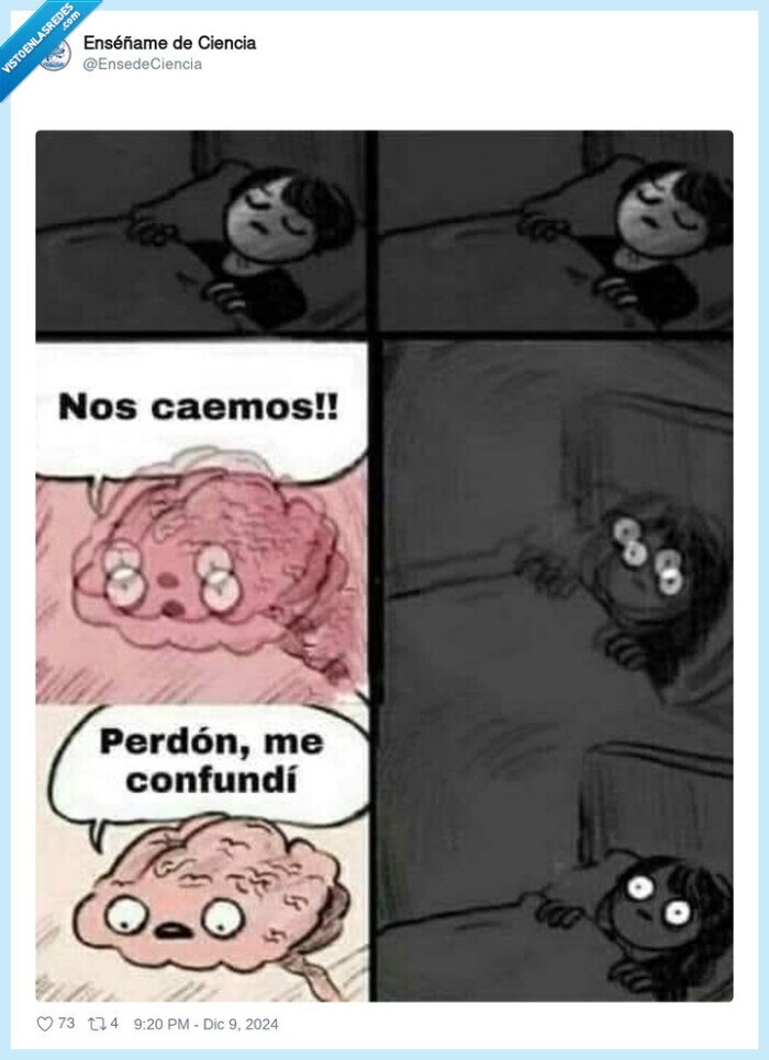 cerebro,cama,confundirse,caer