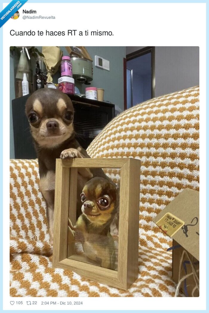 rt,foto,twitter,mismo