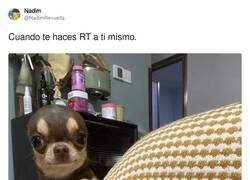 Enlace a ¿No te hacen casito?, por @NadimRevuelta
