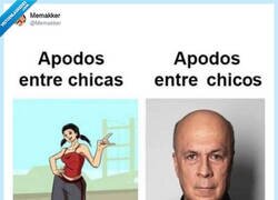 Enlace a Apodos sol para joder, por @Memakker