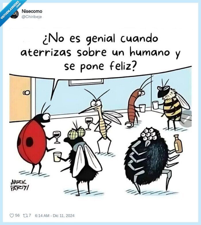 aterrizar,ser humano,insectos