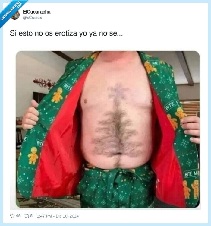 arbol de navidad,pelambrera,vello,cuerpo