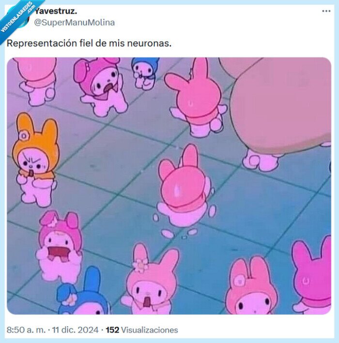 neuronas,representación,fiel