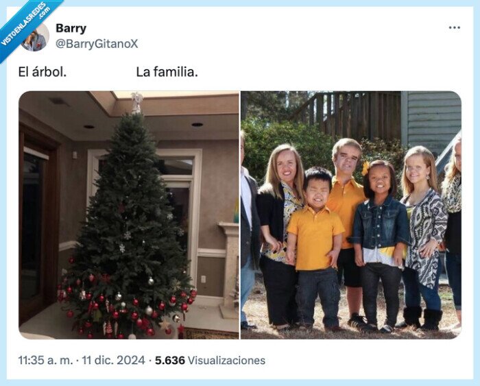 enanos,bolas,familia,árbol