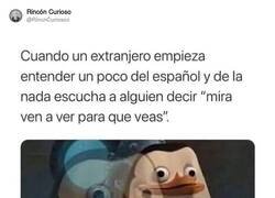 Enlace a Les debe explotar la cabeza, por @RincnCuriosoo