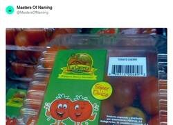 Enlace a Tom y Cherry, por @MastersOfNaming