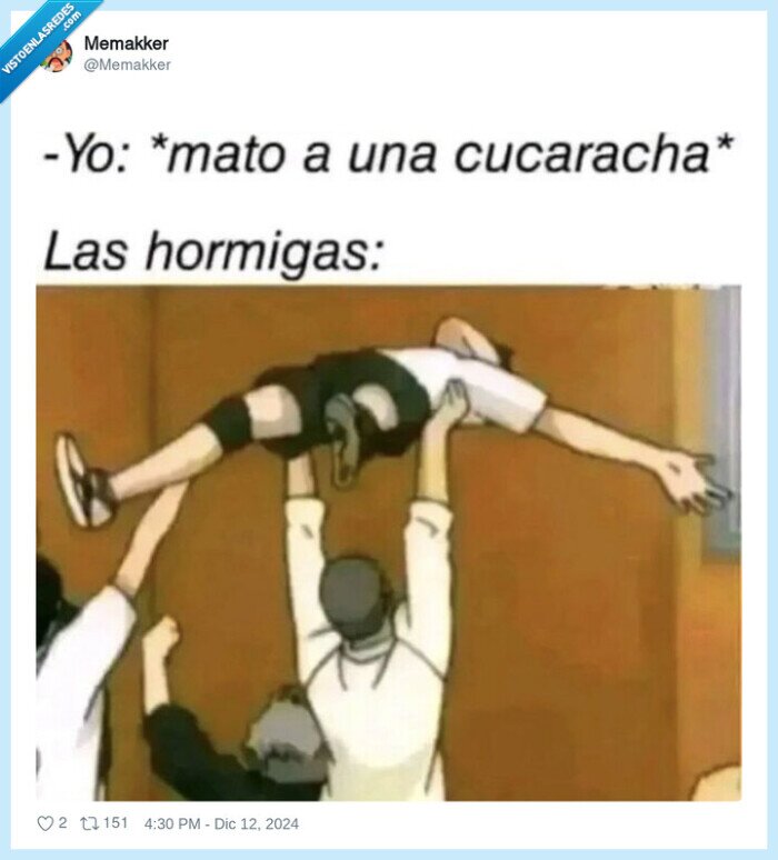 hormigas,cucaracha,muerta,alzar,dep