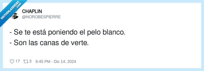 poniendo,blanco,canas,pelo