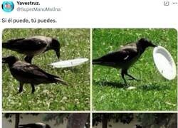 Enlace a Echa una mano por @supermanumolina