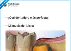 Enlace a Siempre listas para joder, por @RincnCuriosoo