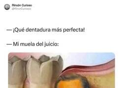 Enlace a Siempre listas para joder, por @RincnCuriosoo