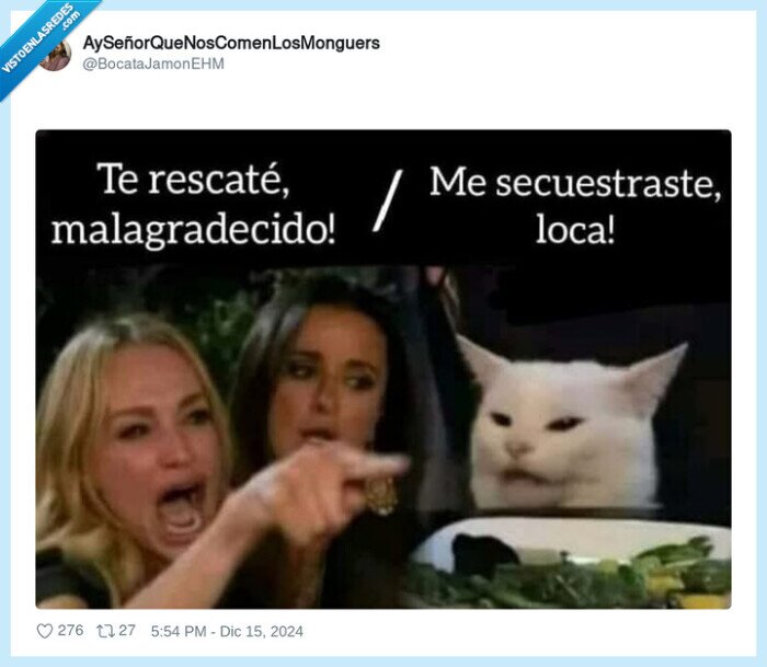 gato,meme,recriminar,secuestro,rescate