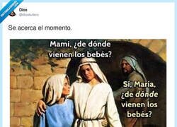 Enlace a José el ofendidito, por @diostuitero