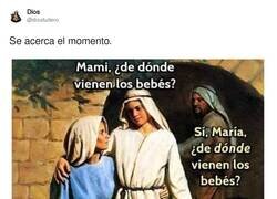 Enlace a José el ofendidito, por @diostuitero