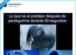 Enlace a Espero que le dé pena y se apiade de mí, por @ShitpostGate