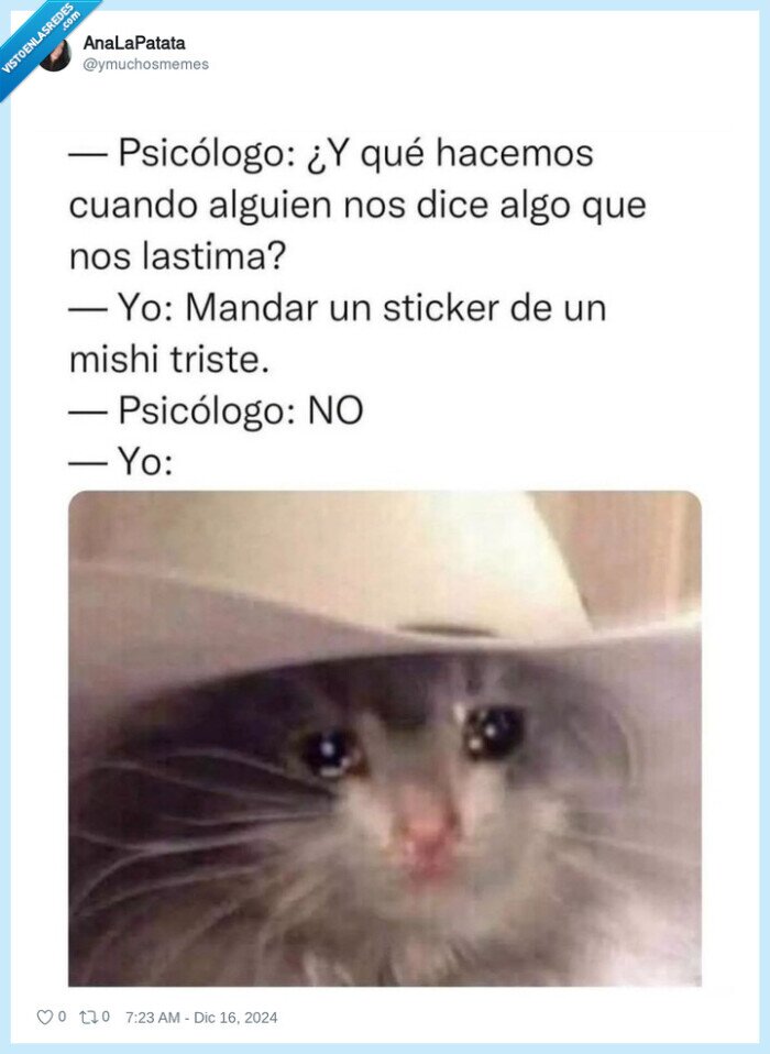 sticker,michi,gato,llorar