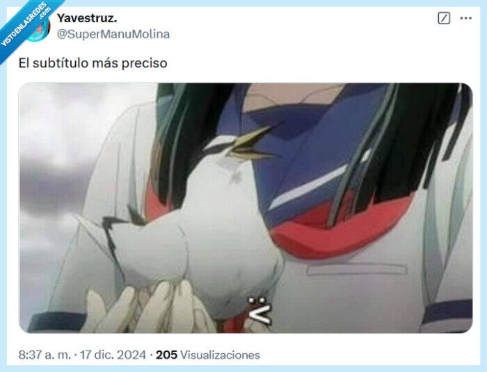 subtítulo,anime,preciso
