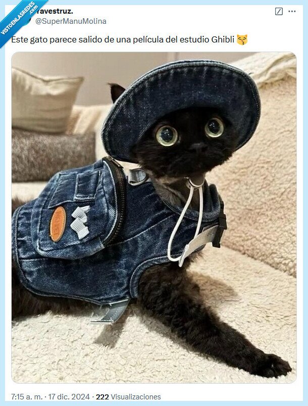 gato,estudio gihbli,película
