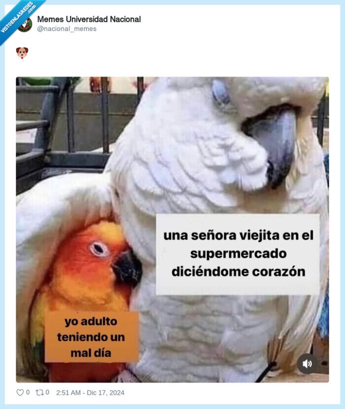 viejita,abuela,apoyar,pajarito
