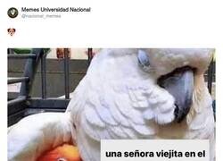 Enlace a Gracias por tanto, señora, por @nacional_memes