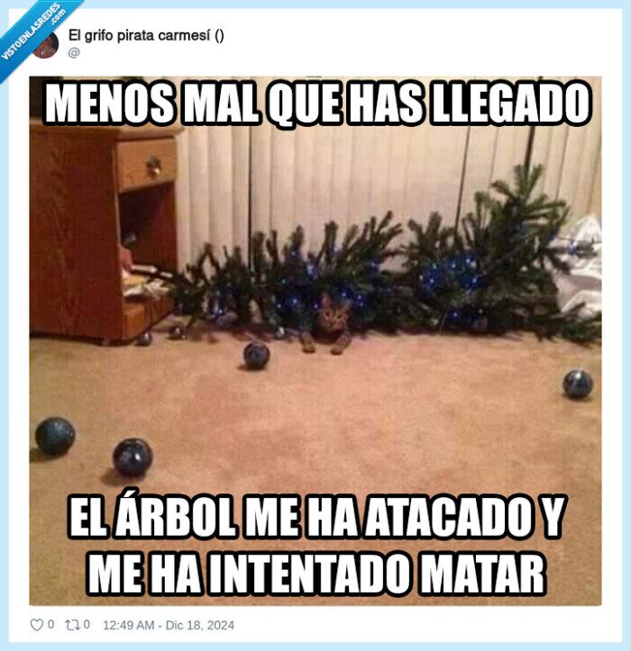 gato,árbol,navidad,pelea