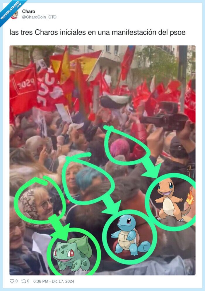 manifestación,iniciales,charos,pokemon,psoe