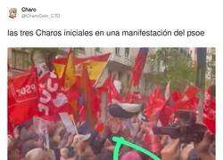 Enlace a Choose your fighter, por @CharoCoin_CTO