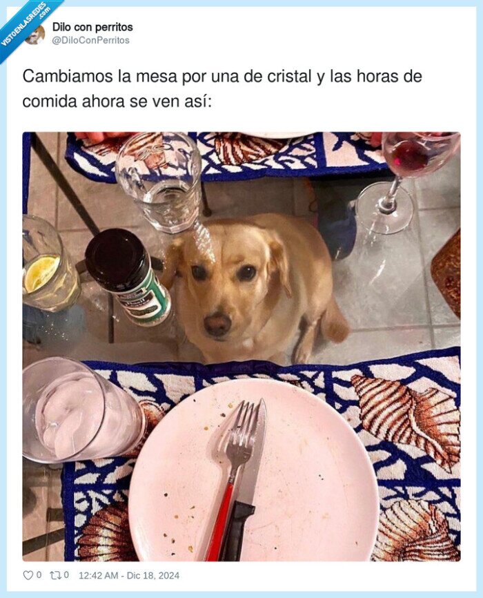 cambiar,mesa de cristal,comida,horas,perro,mesa